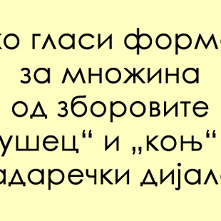 predizvik-za-poznavachite-na-dijalekti-znaete-li-kako-glasi-mnozhinata-na-kavadarechki-01.jpg