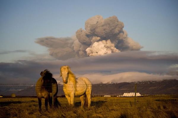 kako-e-na-island-po-erupcijata-6