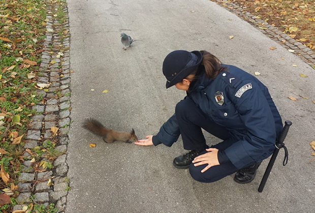 grizlivo-prijatelstvo-policajci-se-grizat-za-gladna-ververica-01