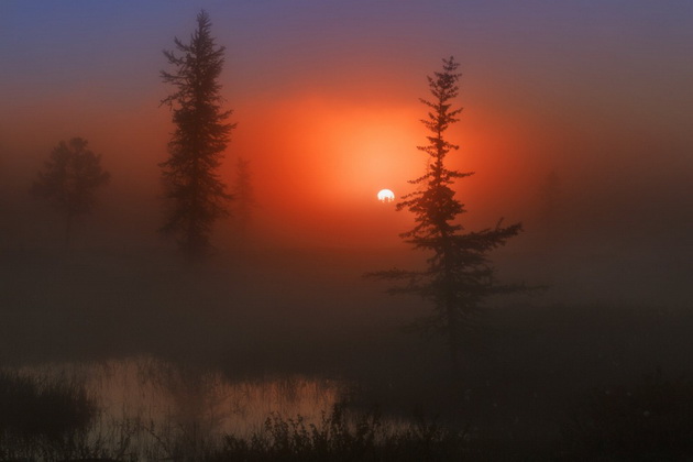 vo-presret-na-esenta-fotografii-koi-ja-prikazuvaat-nejzinata-ubavina-04.jpg