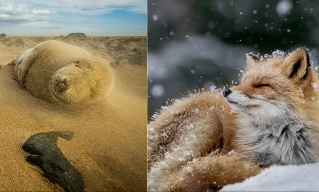 20-te-najdobri-fotografii-na-national-geographic-za-2016-ta-1.jpg