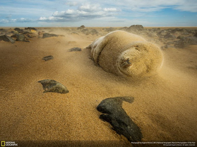 20-te-najdobri-fotografii-na-national-geographic-za-2016-ta-19.jpg