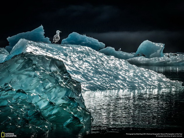 20-te-najdobri-fotografii-na-national-geographic-za-2016-ta-7.jpg