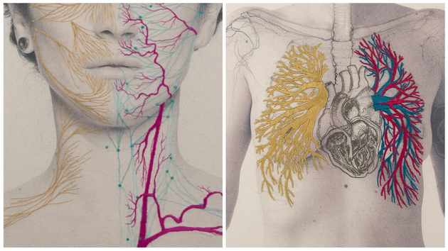 neverojatno-izvezena-anatomska-umetnost-001.jpg