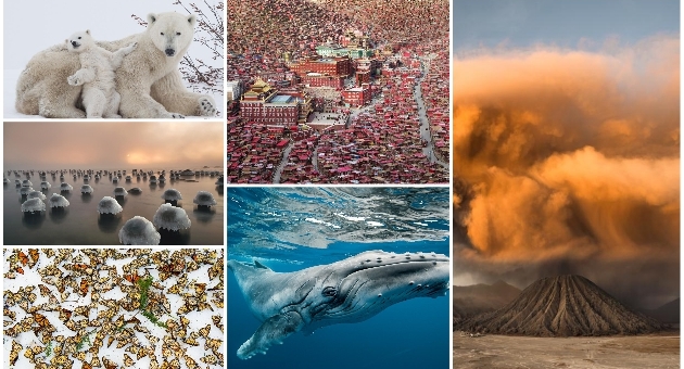 svetot vo malo najdobrite fotografii na national geographic za noemvri 2017 01