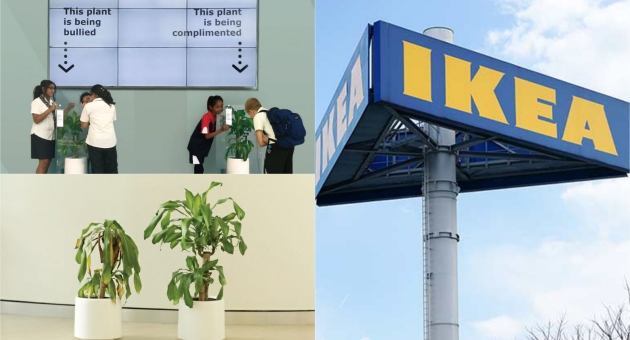 ikea-e-zakon-kompanija-obezbedi-dokaz-kolku-e-losho-da-si-losh-foto -01.jpg