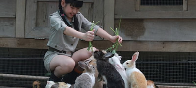 skopje-zoo-dobiva-mini-zooloska-gradina-za-najmladite-povekje.jpg