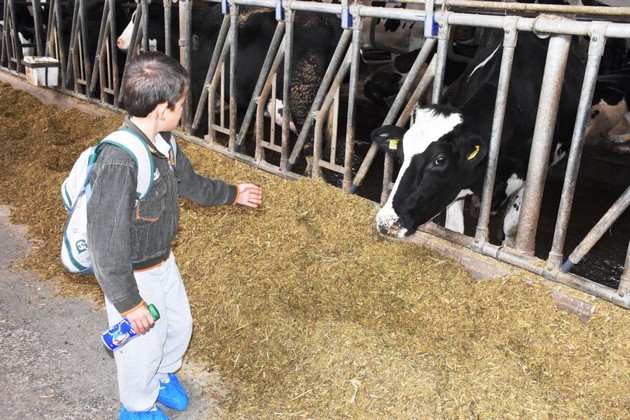 po-povod-svetskiot-den-na-deteto-bimilk-organizirashe-poseta-na-kravarska-farma-za-decata-so-oshteten-sluh-i-govor-03.jpg