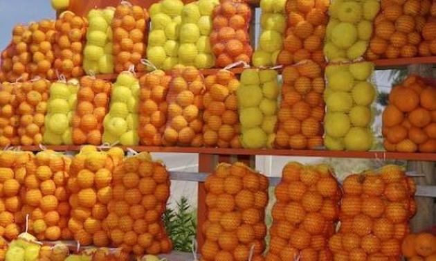 zosto-portokalite-se-sekogas-spakuvani-vo-crvena-mreza-a-limonite-vo-zolta-04.jpg