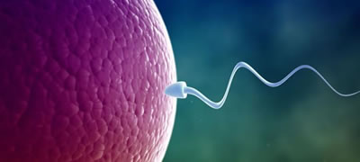 antispermatozoidni-antitela-alergija-na-semena-tecnost-povekje.jpg