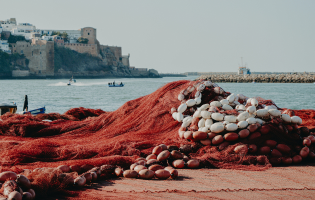 sto poprvo da se poseti po otvoranje na granicite maroko island kazahstan 2