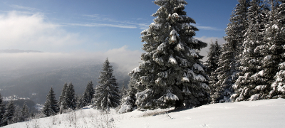 7-uredeni-ski-pateki-na-1744m-n-v-na-skijanje-na-golija-srbija-povekje.jpg