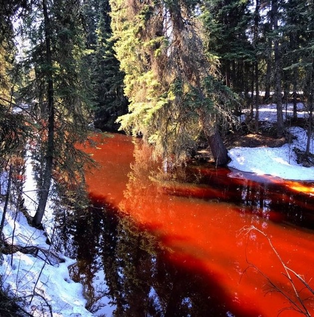 ogneno-vinozhito-stolbovi-od-svetlina-nadrealni-fotografii-od-retki-prirodni-fenomeni-shto-kje-ve-ostavat-bez-zborovi-03.JPG