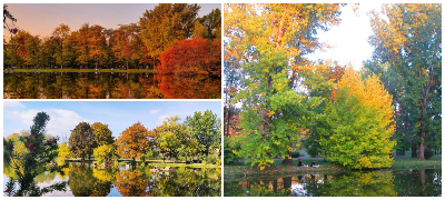 Esenskata-magija-vo-Gradskiot-park-vo-Skopje-povekje.jpg