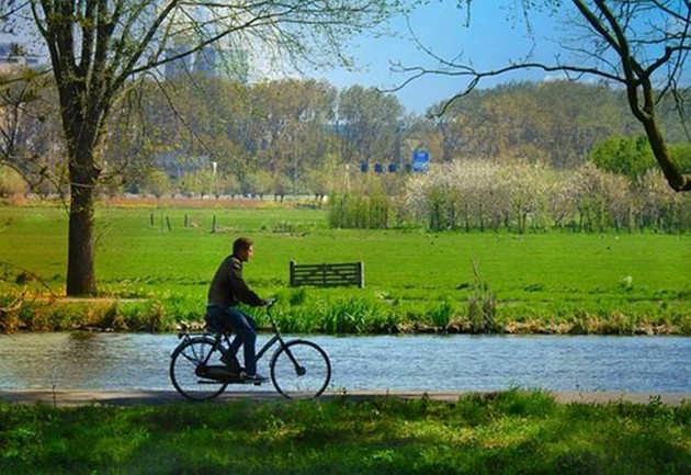 kazhete-im-zbogum-na-loshite-zhivotni-naviki-so-samo-3-alternativi-za-podobar-zhivot-03.JPG