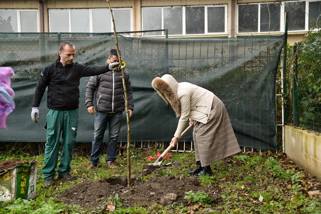 zasaden-e-vtoriot-penziski-park-vo-srednoto-uchilishte-sv-kiril-i-metodij-vo-ohrid-01.JPG