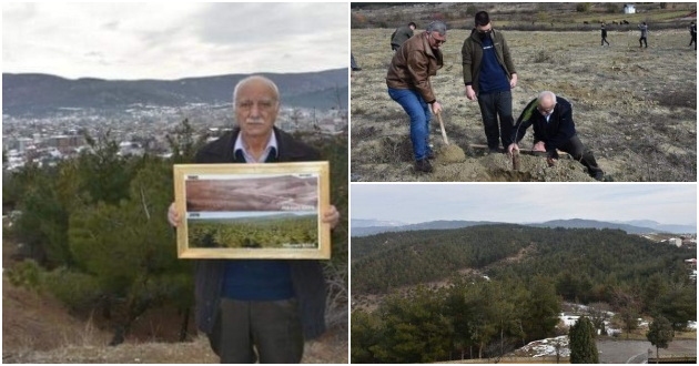 shumar-i-lokalci-od-turcija-sozdale-nova-shuma-vo-nivnata-oblast-posadile-30-milioni-drvja-i-rastenija-za-40-godini-01.jpg