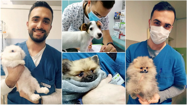 zapoznajte-go-najsimpatichniot-veterinar-od-belgrad-koj-gi-obozhava-zhivotnite-foto-01.jpg