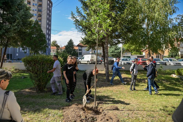 so-vcherashnata-akcija-vo-kumanovo-penziskite-drushtva-zasadija-vkupno-120-sadnici-06.jpg