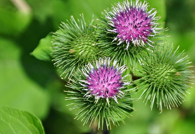 devojche-11-si-zapletka-igrachki-vo-kosata-rezultatot-e-nova-frizura-001.jpg