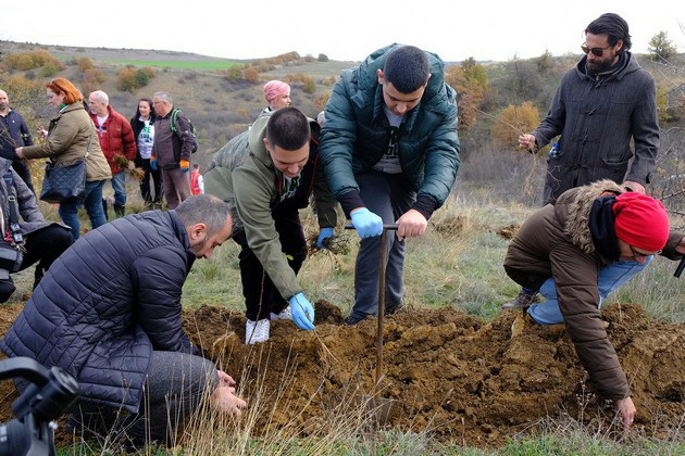 zasadeni-40-000-drvja-kako-rezultat-na-golemata-akcija-za-poshumuvanje-na-shumskite-nasadi-soncheva-gora-04.jpg