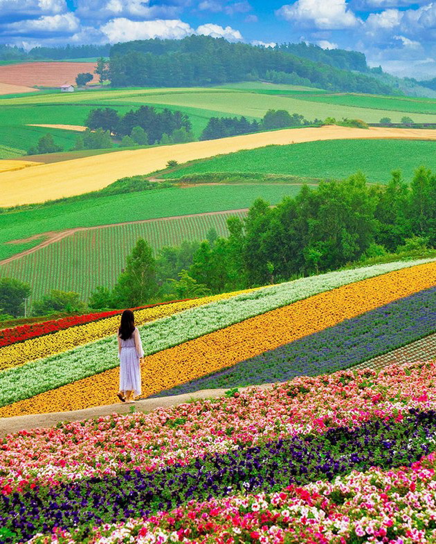 zabavni-fotografii-koi-kje-ve-uverat-deka-japonija-e-najunikatnata-zemja-vo-svetot-08.jpg