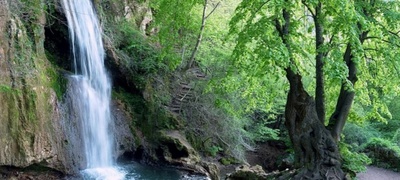 sokobanja-zelenoto-srce-na-srbija-povekje.jpg