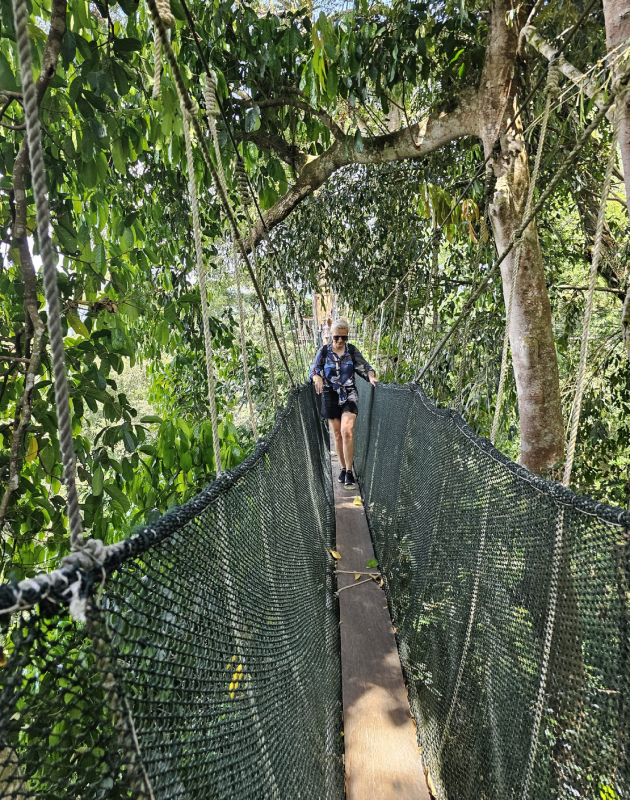 valentina nikolovska za patuvanjet vo malezija i borneo kuala lumpur me ostavi bez zdiv prestojuvavme kaj domorodno pleme i bevme vo centar za orangutani i najmali mecki vo svetot 9