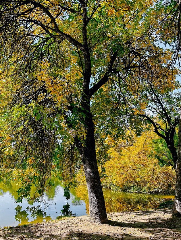 foto-dokazi-deka-gradskiot-park-vo-skopje-periodov-e-vistinska-esenska-bajka-08.jpg