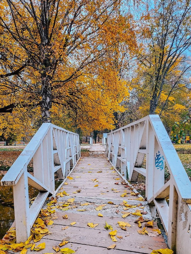 foto-dokazi-deka-gradskiot-park-vo-skopje-periodov-e-vistinska-esenska-bajka-12.jpg