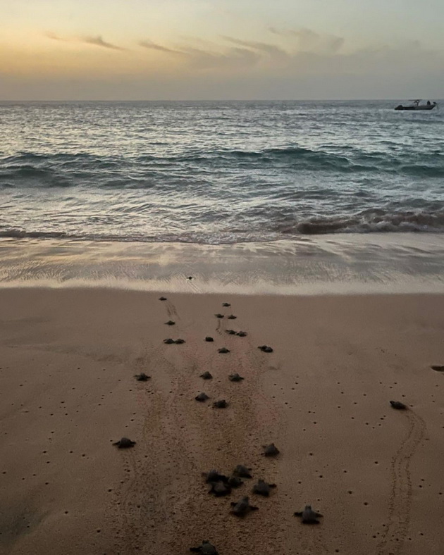 kosharkarkata-edina-musa-na-odmor-vo-afrika-pozira-vo-bikini-i-pokazha-kako-izgleda-zhivotot-na-lokalnoto-naselenie-foto-10.jpg