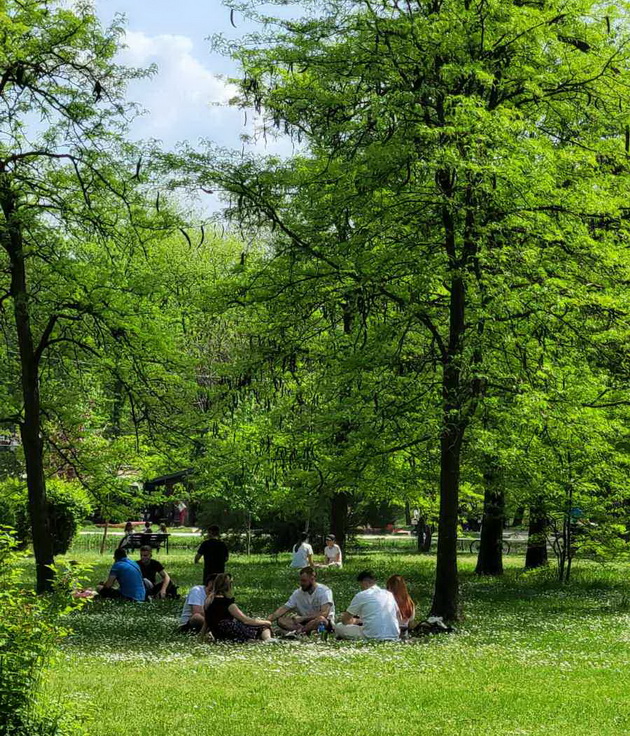 proletna-idila-vo-gradski-park-piknik-na-treva-proshetka-so-milenicite-foto-05.jpg