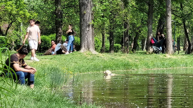 proletna-idila-vo-gradski-park-piknik-na-treva-proshetka-so-milenicite-foto-16.jpg