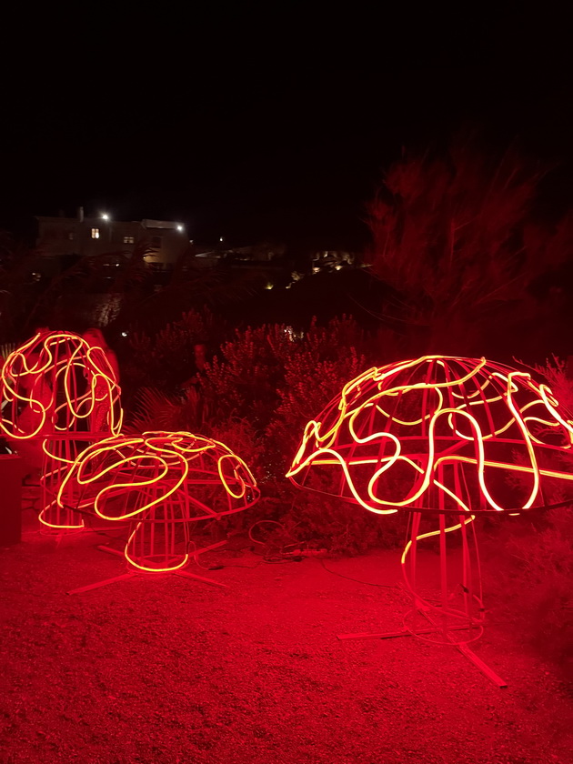 fotografot-badstef-letuvashe-na-mikonos-djin-tonik-e-od-25-nagore-a-najevtina-lezhalka-na-plazha-e-60-23.jpg