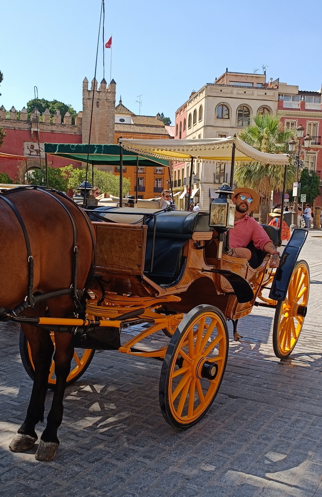 boro-od-skopje-voodusheven-od-posetata-na-andaluzija-bev-na-borba-so-bikovi-vo-sevilja-malaga-gi-ima-najubavite-zajdisonca-10.jpg