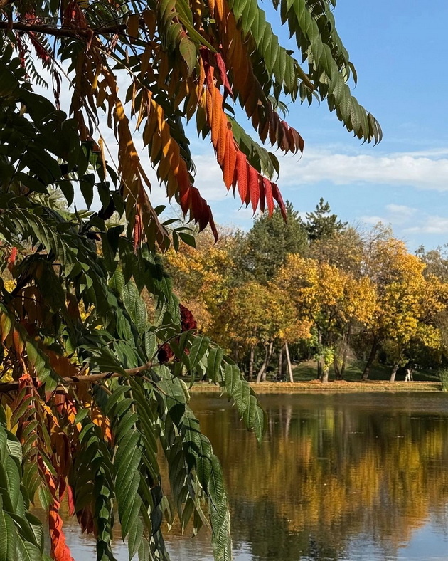 gradskiot-park-vo-skopje-ni-e-najubav-vo-esen-foto-10.jpg