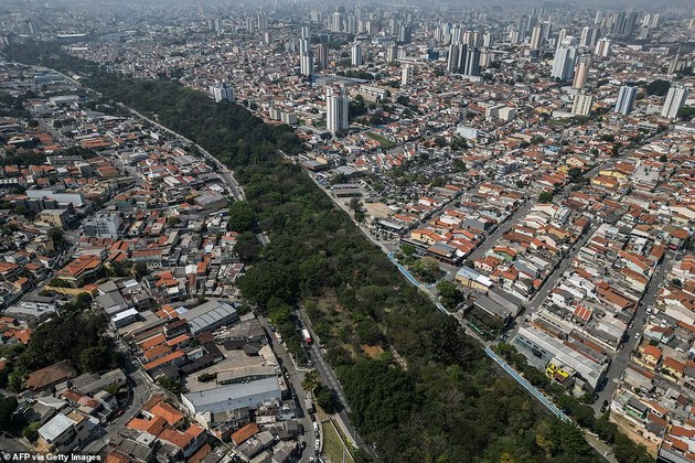 bravo-brazilec-posadil-40-000-drvja-vo-sao-paolo-i-napravil-zelena-oaza-srede-gradot-foto-03.JPG