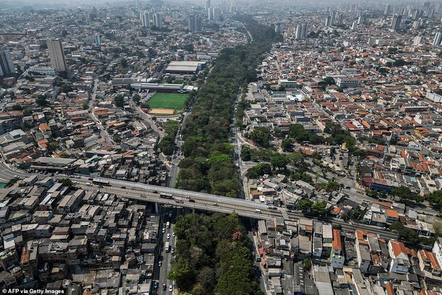 bravo-brazilec-posadil-40-000-drvja-vo-sao-paolo-i-napravil-zelena-oaza-srede-gradot-foto-04.JPG