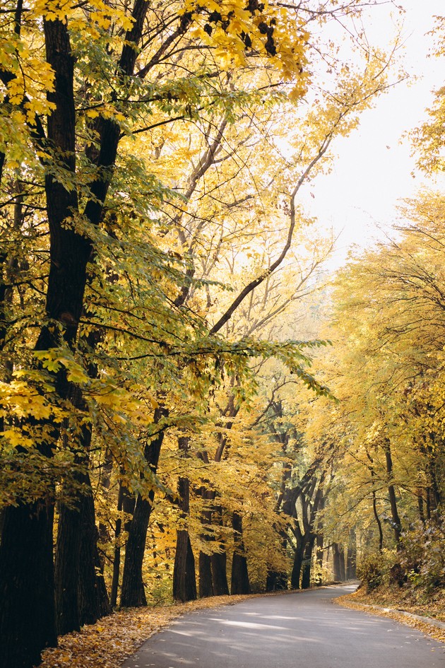 slavcho-poposki-meteorolog-nedelava-potoplo-vreme-temperaturite-kje-se-iskachat-i-do-30-stepeni-celziusovi-02_copy.jpg