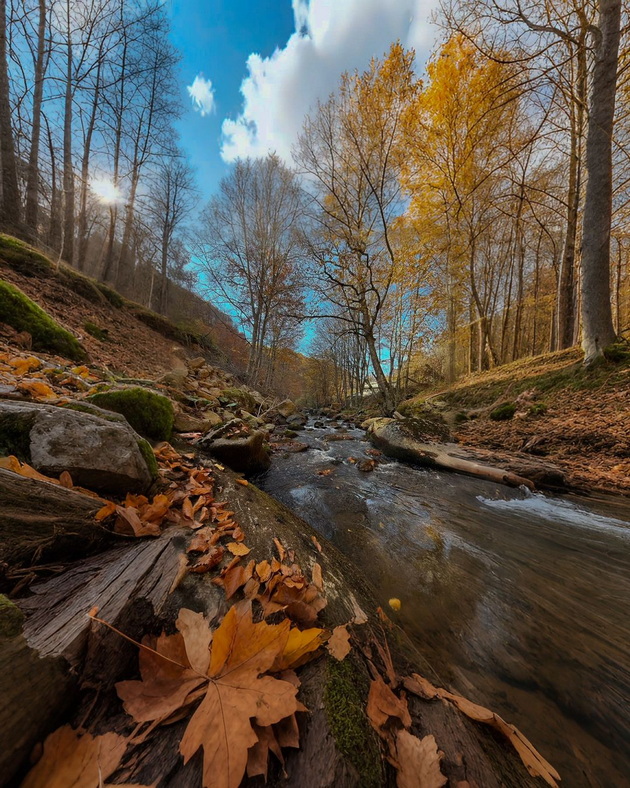 ova-e-makedonija-karadjica-e-kako-scena-od-esenska-bajka-foto-03.jpg