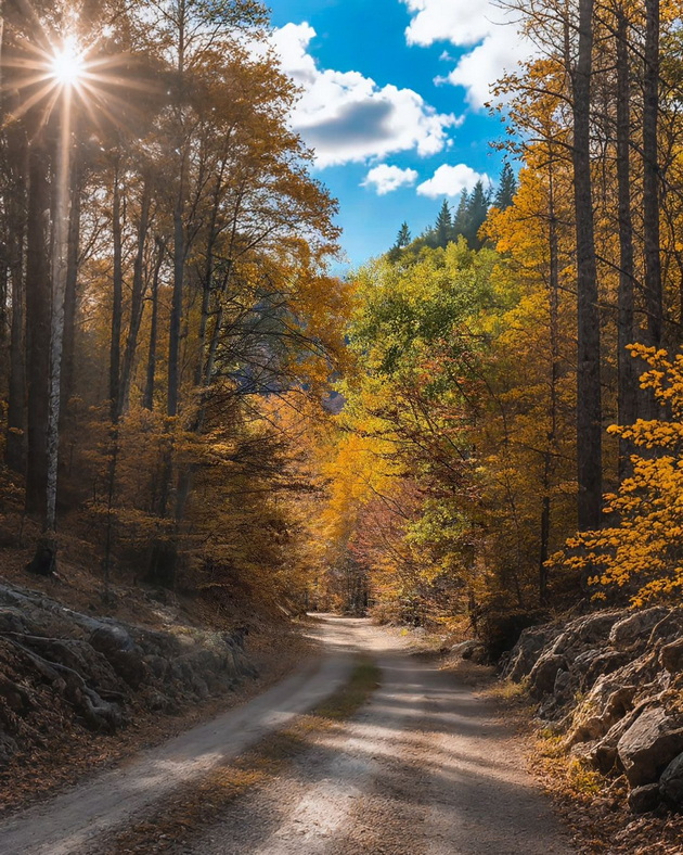 ova-e-makedonija-karadjica-e-kako-scena-od-esenska-bajka-foto-05.jpg