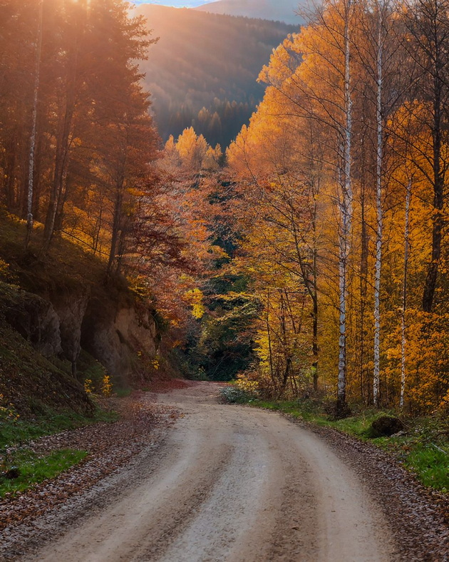 ova-e-makedonija-karadjica-e-kako-scena-od-esenska-bajka-foto-09.jpg