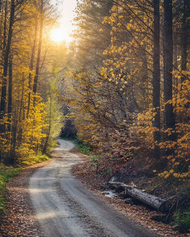 ova-e-makedonija-karadjica-e-kako-scena-od-esenska-bajka-foto-10.jpg