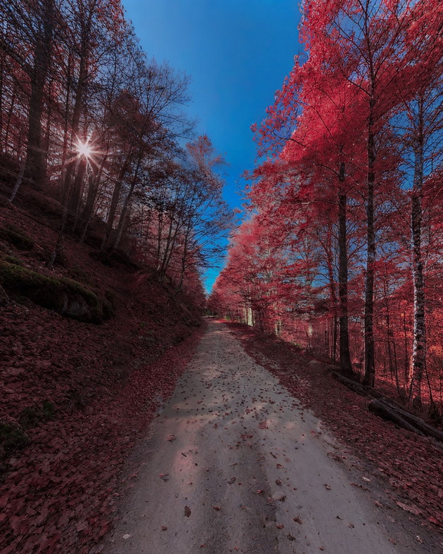 ova-e-makedonija-karadjica-e-kako-scena-od-esenska-bajka-foto-11.jpg