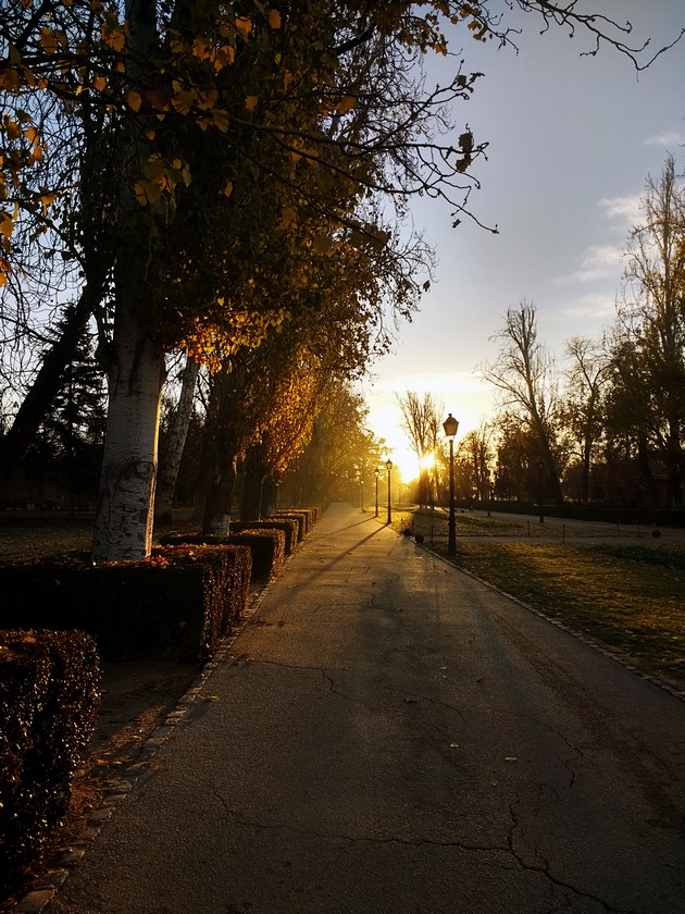 slavcho-poposki-meteorolog-nedelava-ne-ochekuva-studeno-vreme-so-utrinski-temperaturi-i-pod-nulata-03.JPG