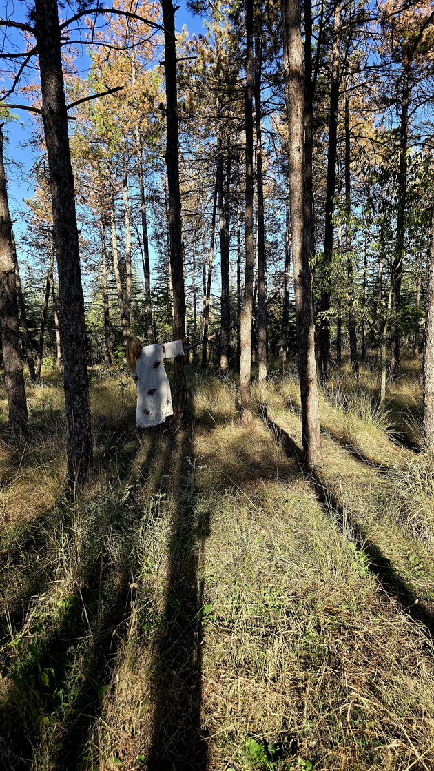 maja-od-negotino-e-holistichki-terapevt-terapiite-gi-smiruvaat-dechinjata-koi-imaat-traumi-a-pomagaat-i-kaj-zheni-za-neplodnost-12.jpg