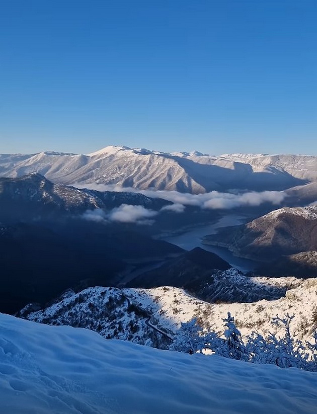 hrani-lisica-se-banja-vo-kada-so-mraz-na-otvoreno-betika-uzhiva-na-odmor-od-sonishtata-16.jpg