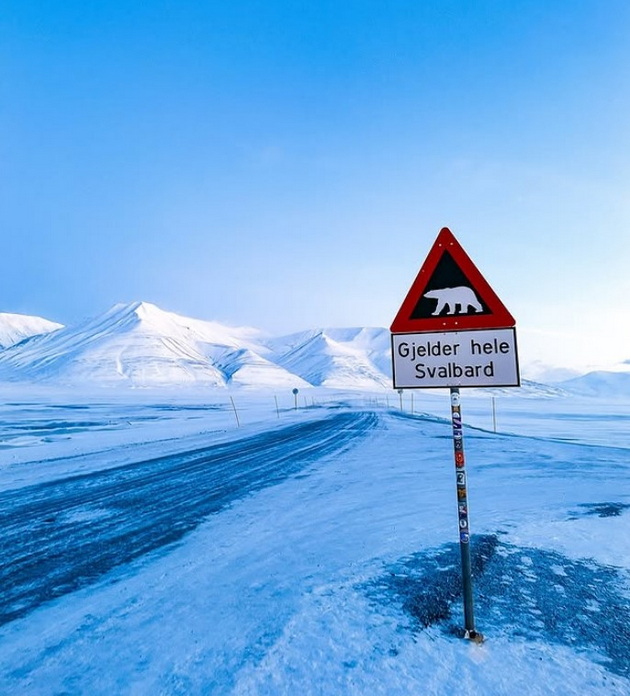 zhiveam-vo-najseverniot-grad-na-svetot-shetaat-polarni-mechki-i-ogranicheno-e-kolku-alkohol-mozhe-da-kupime-21.jpg