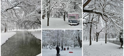 snezhna-idila-vo-gradski-park-vo-skopje-foto-повекје.jpg