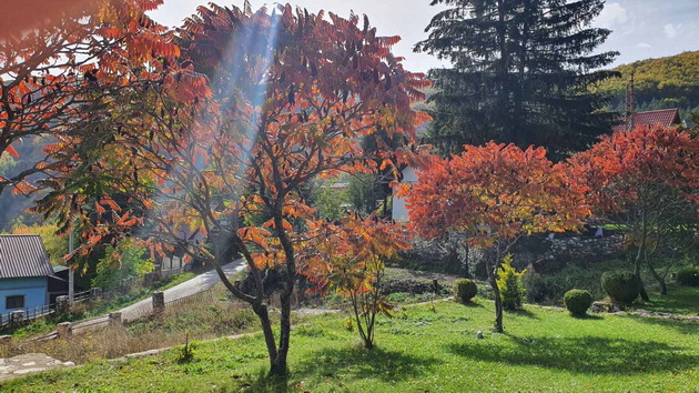 vo-vikendichka-na-idje-na-jablanica-vnatre-dominira-kaminot-vo-dvorot-sadam-indiski-palmi-19.jpg